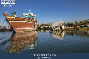 Tiab-wetland7