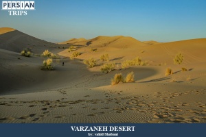 Varzaneh-desert3