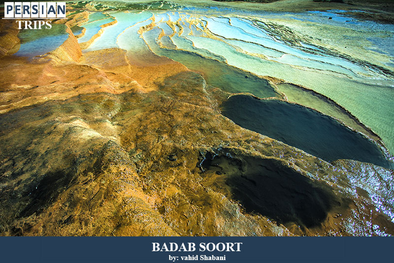 Badab soort3