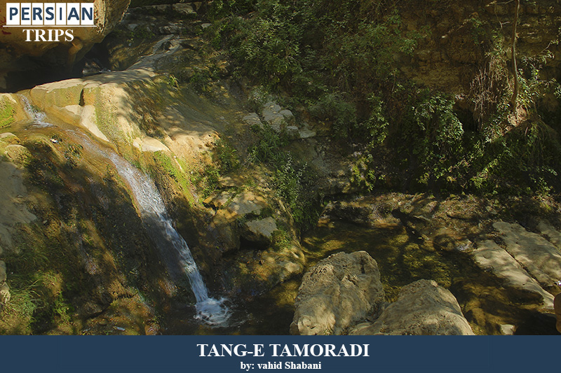 Tang-e Tamoradi 