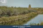 Ghurtan pigeon coops1