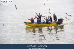 alnzali2