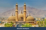 shafei2