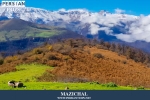 mazichal2